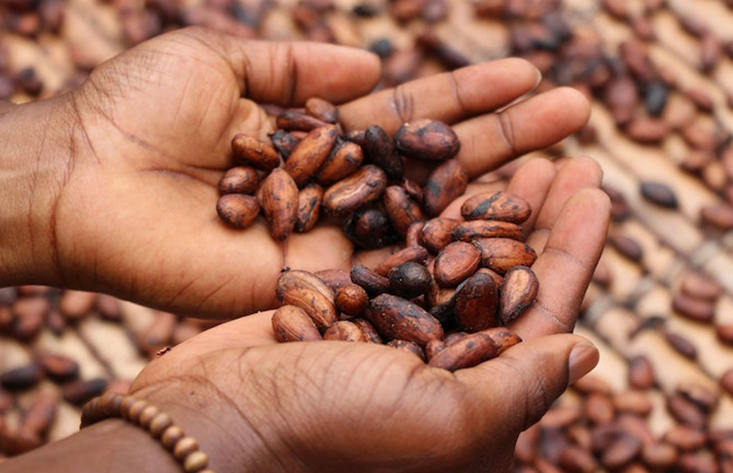 Côte d’Ivoire is the world’s biggest cocoa beans producer