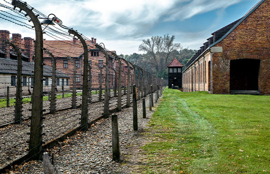 Cracovia (Campo Auschwitz-Birkenau y Barrio Judío de Kazimiers)