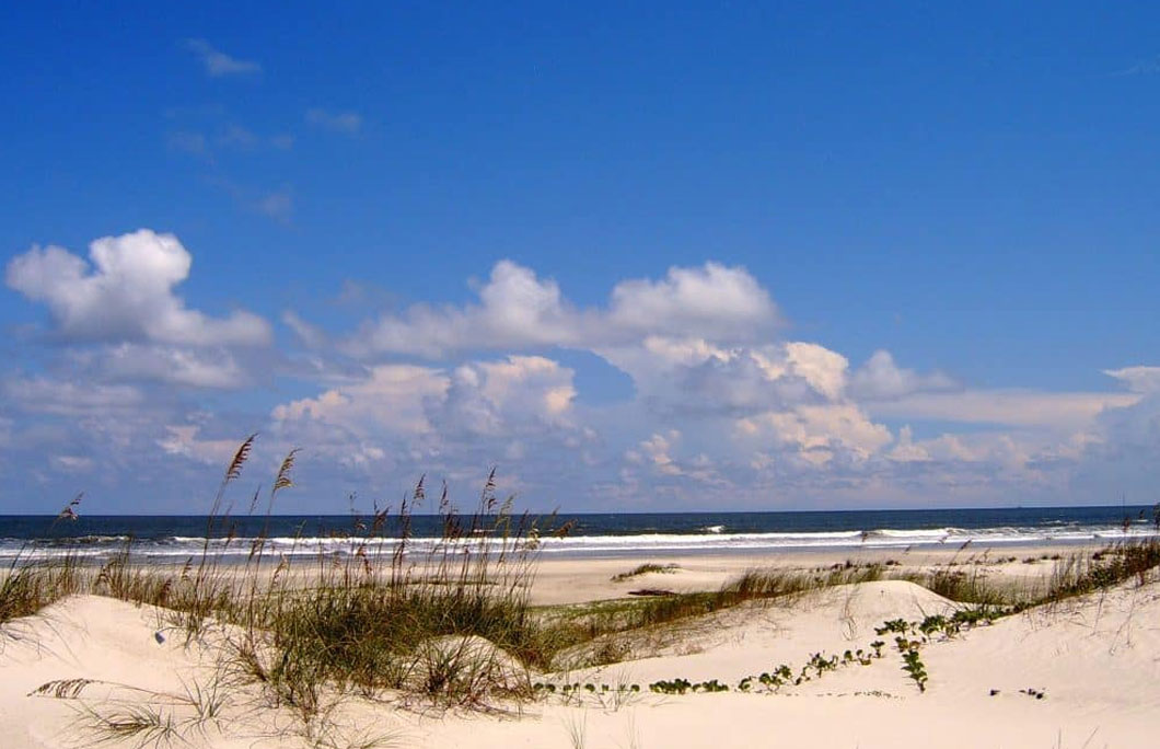 19th. Cumberland Island National Seashore – St. Marys, Georgia