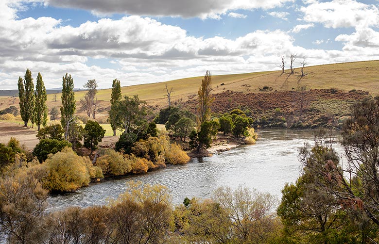 Derwent River Valley