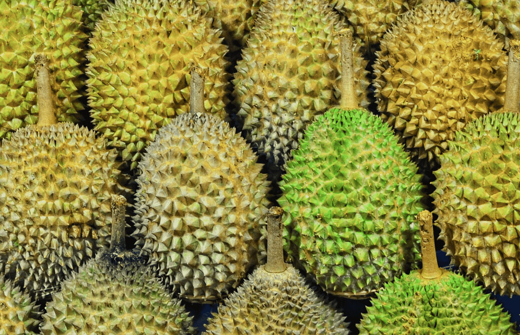 8. Durian