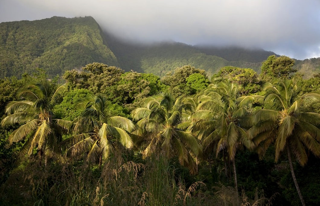 Dominica has the highest concentration of volcanoes in the world