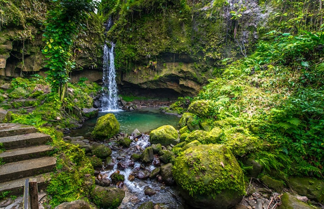 Dominica is mostly covered in rainforest