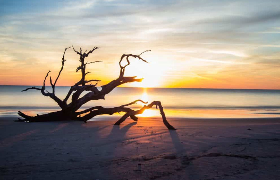 1st. Driftwood Beach – Jekyll Island, Georgia