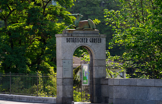 El Jardín Botánico