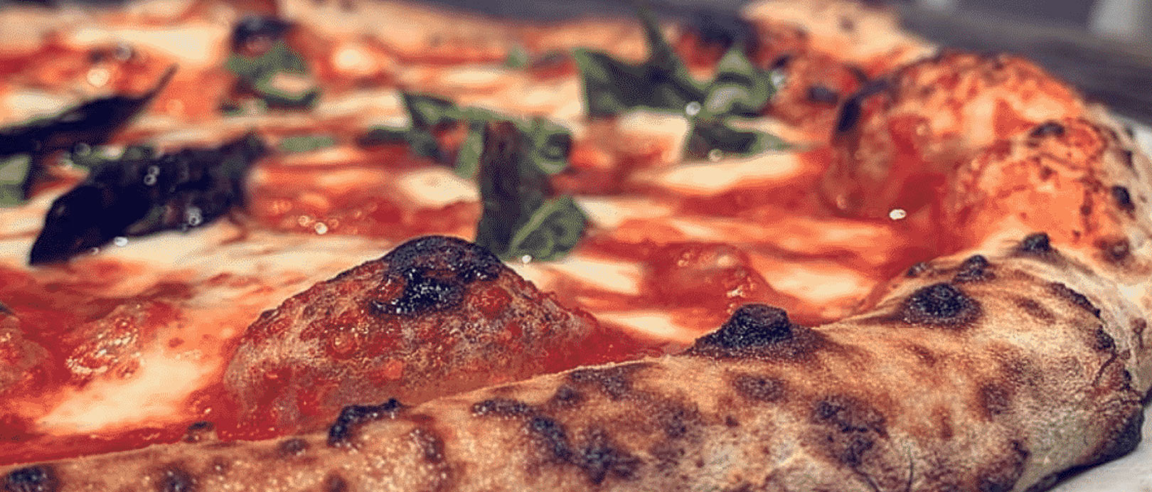 The 25 Best Pizzas In Florida | EnjoyTravel.com