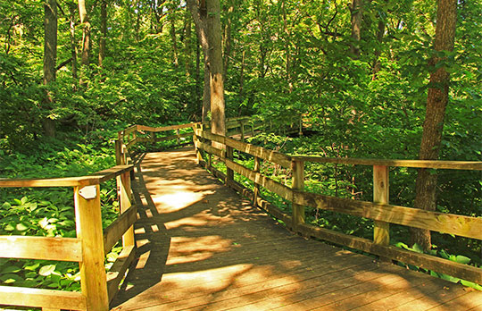 Fontenelle Forest Nature Center in Bellevue