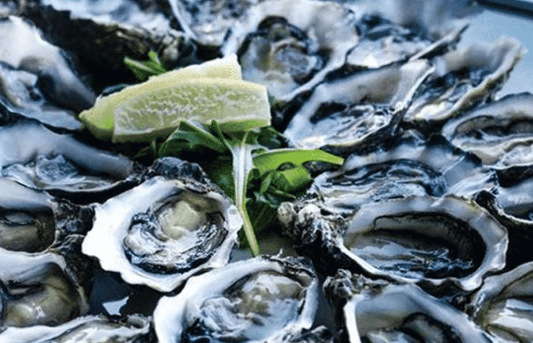 20. Fresh Oysters – The Oyster Bar Elizabeth Quay