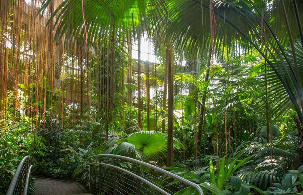 How To Spend 48 Hours In Atlanta Enjoy Travel