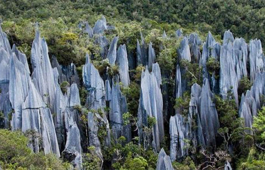 Gunung Mulu National Park