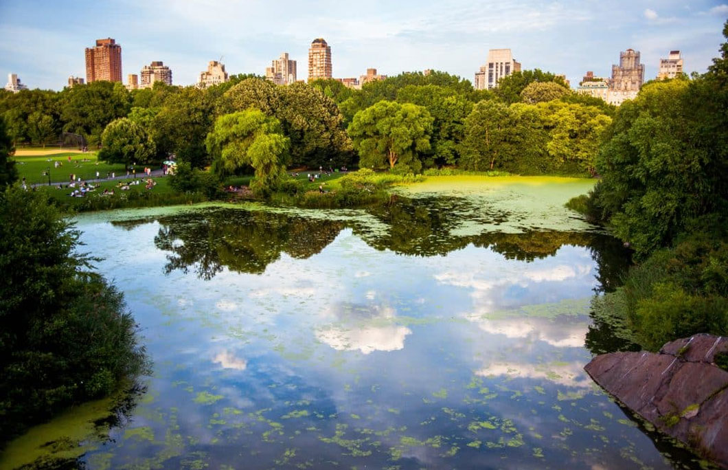 6. Have a Picnic in Central Park