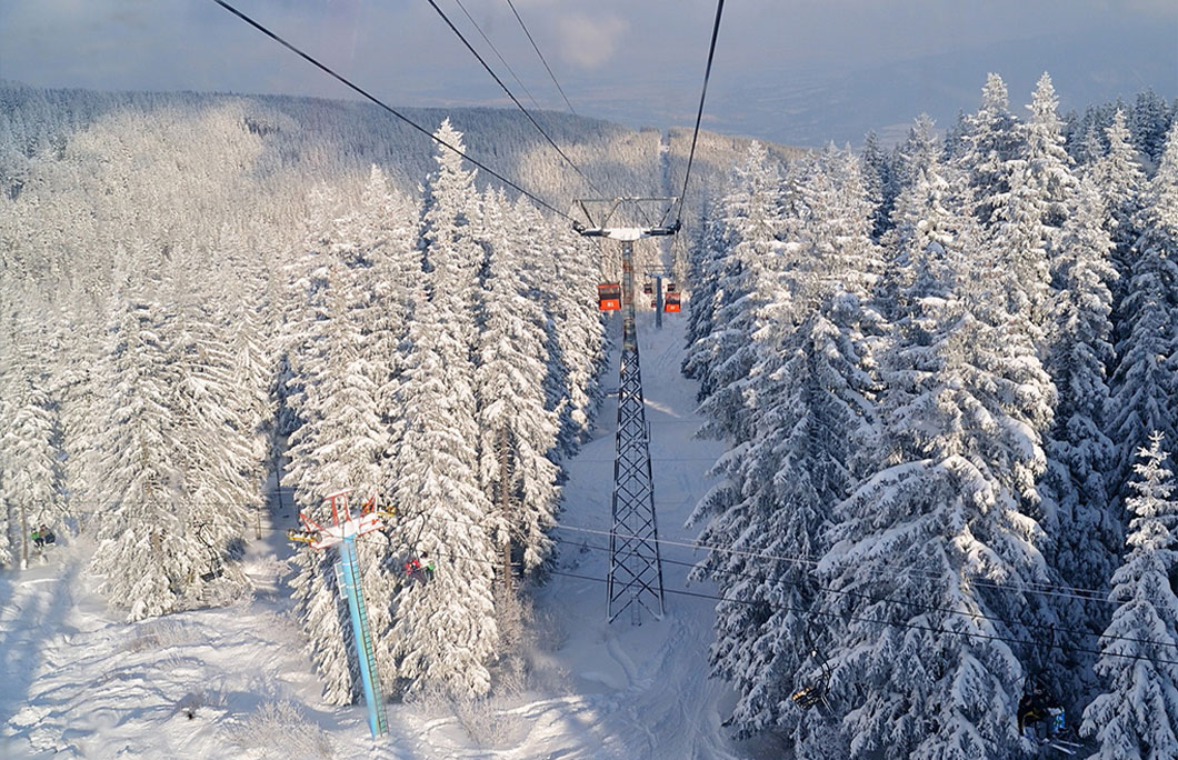 Hike Vitosha mountain