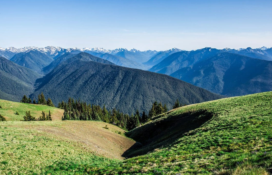 6. Hurricane Ridge – Olympic National Park, Washington