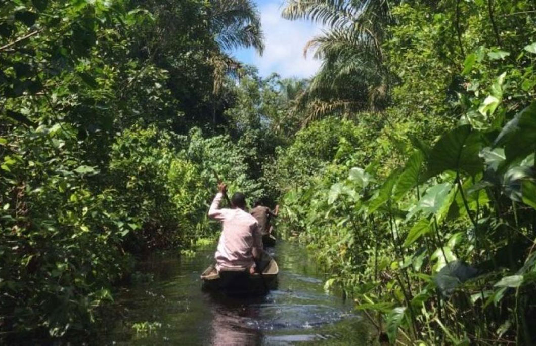 3. Epe Mangroves