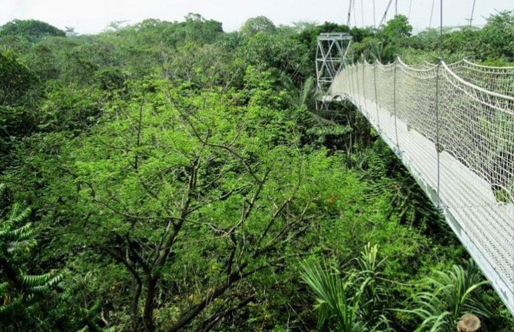 1. Lekki Conservation Centre