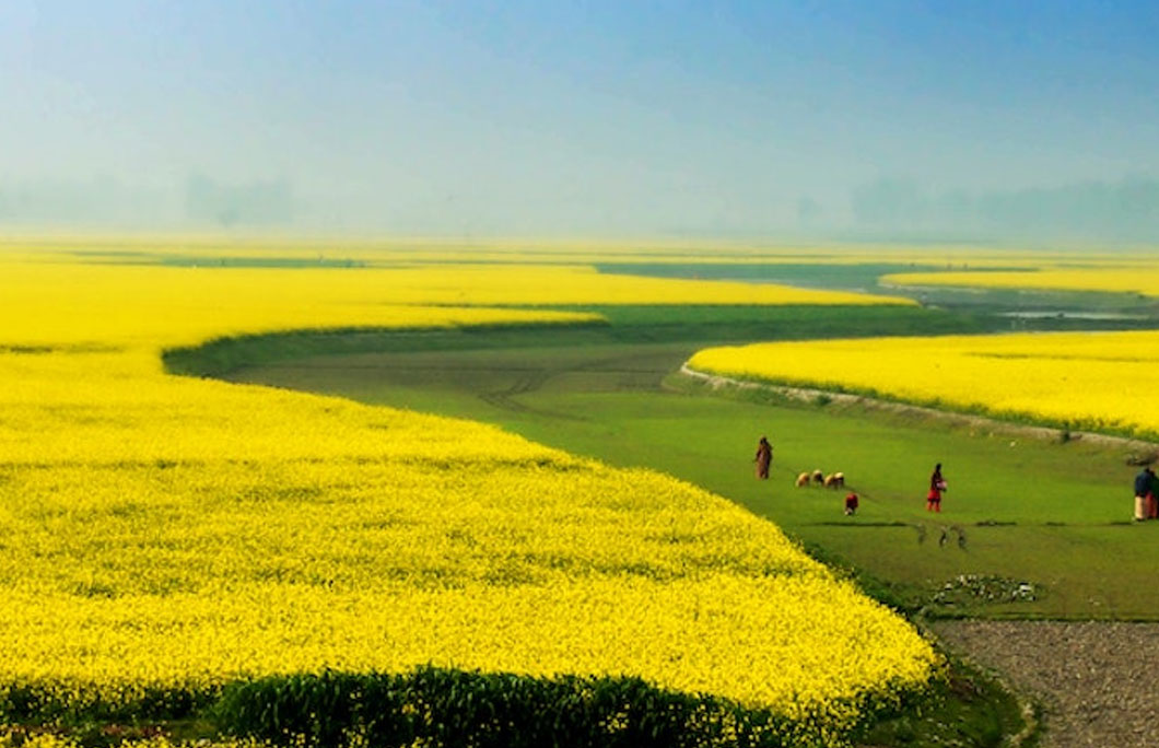 beauty-of-bangladesh-seasons-late-autumn-late-winter