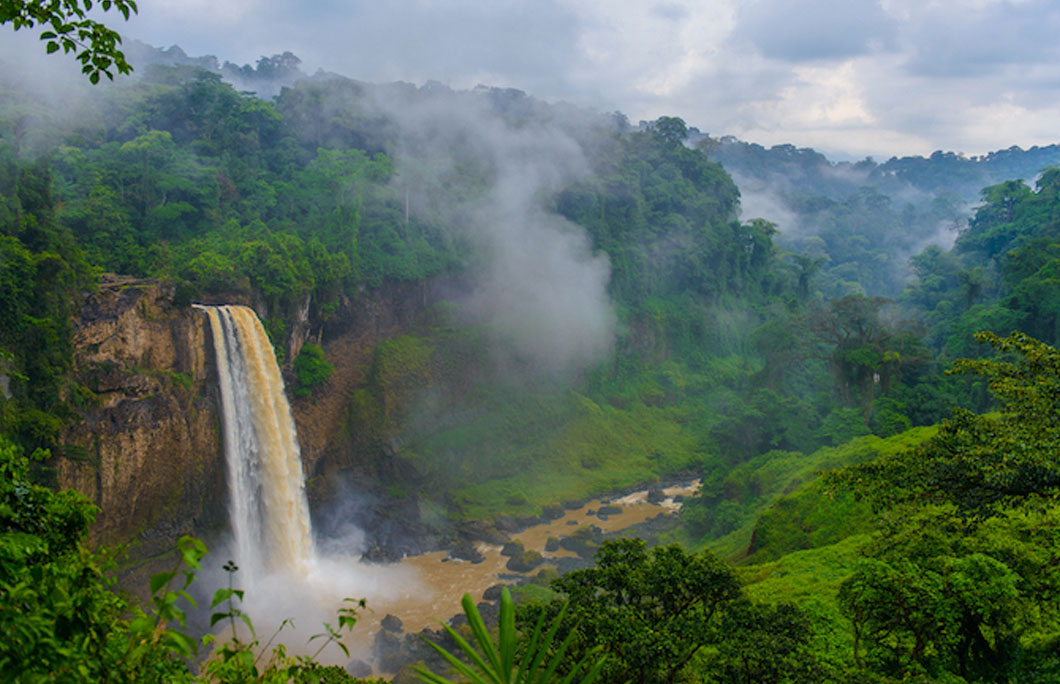 It’s home to Africa’s oldest forest