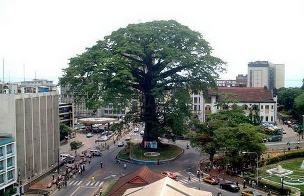 It’s home to the famous Cotton Tree