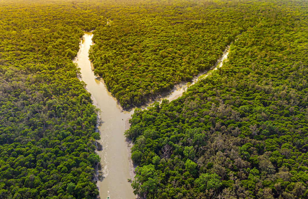 It’s home to the world’s largest mangrove forest