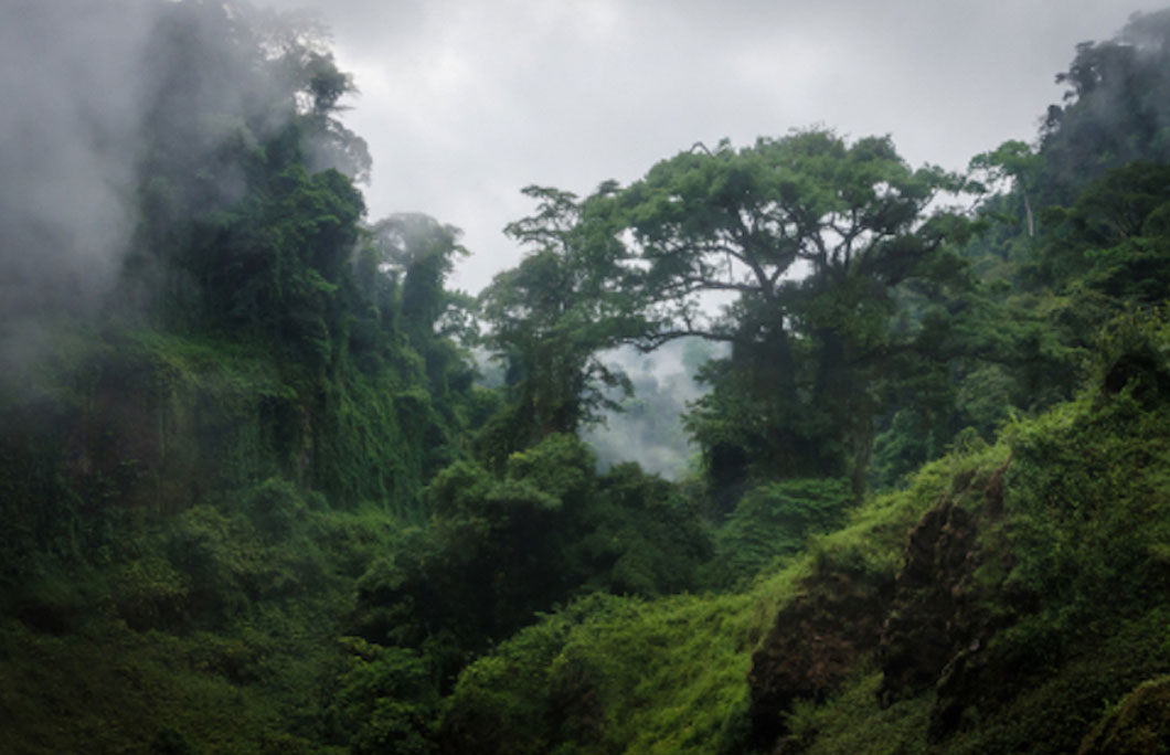 It’s one of the wettest places in the world