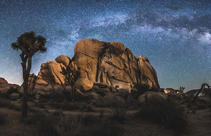 Joshua Tree National Park