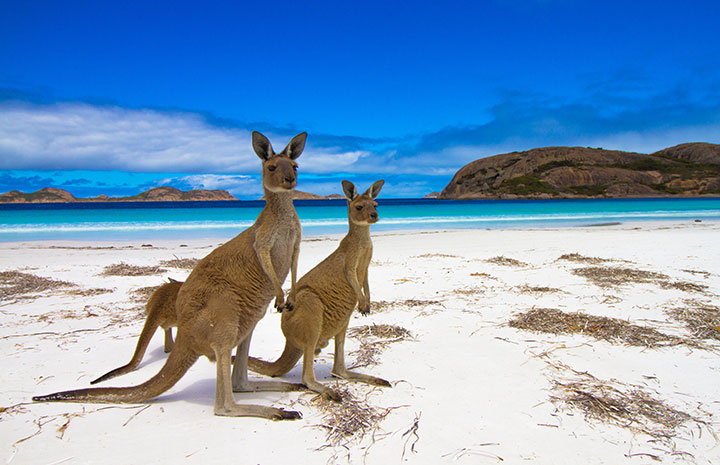 Kangaroo Island