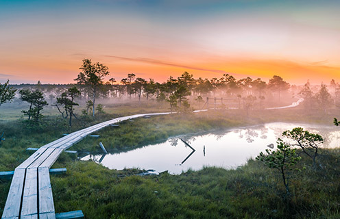 Kemeri National Park