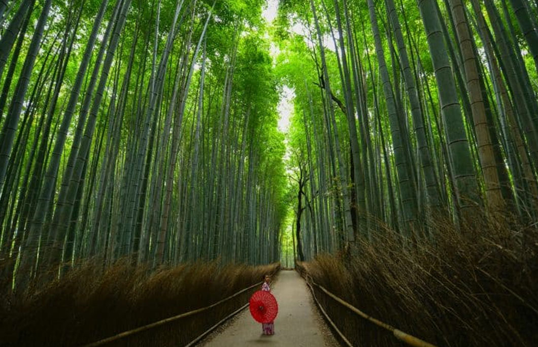 Kyoto is one of the best-preserved cities in Japan