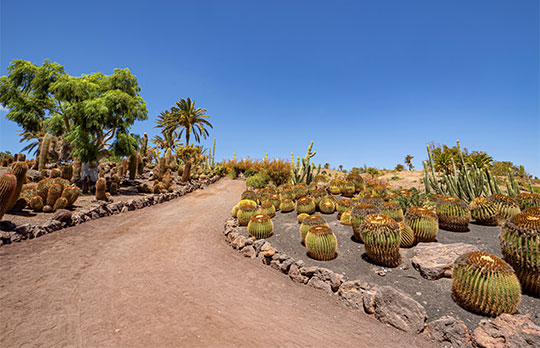 L'île Fuerteventura