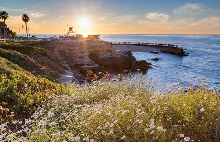 La Jolla