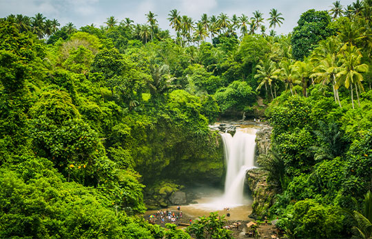 La route des cascades d’Ubud