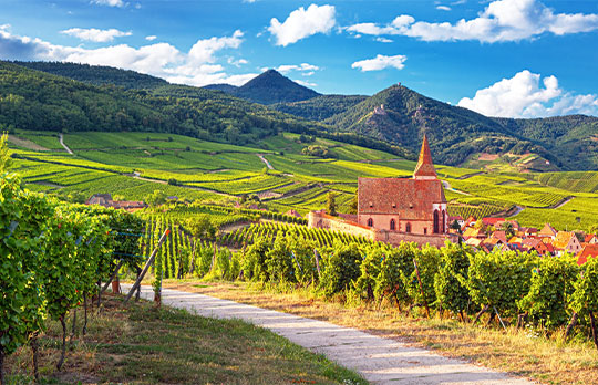 La Route des vins d’Alsace