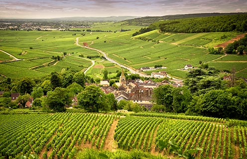 La route des vins de Bourgogne