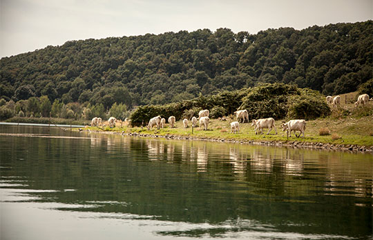 Lake Martignano