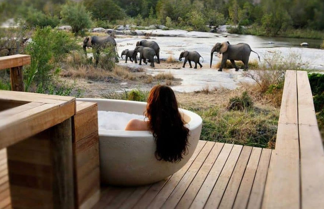 4. Londolozi Lodge – Sabi Sand Game Reserve