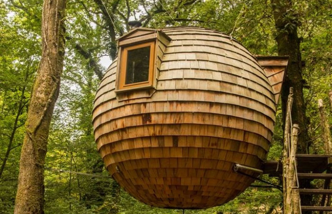 1. Lost Meadow Treepod, Bodmin Moor