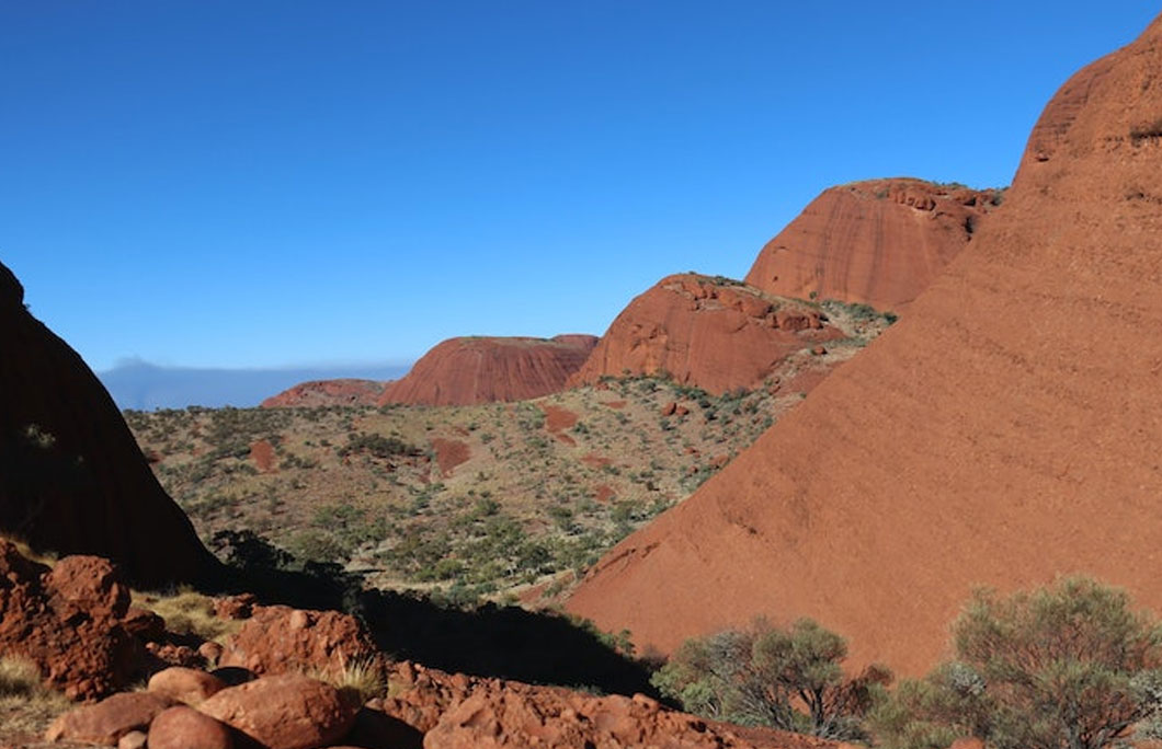 Lots of wildlife live at Uluru