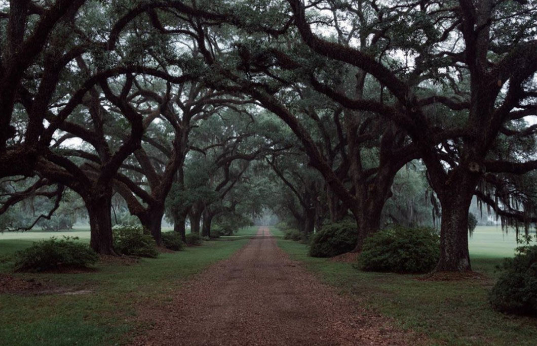 Louisiana Great River Road