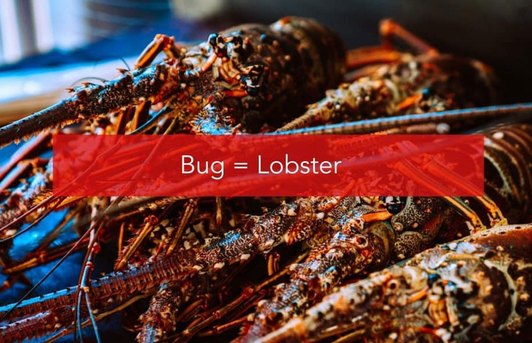 Bug = Lobster