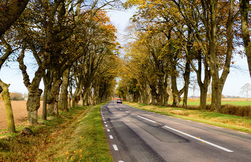 Driving in Malta scenic road