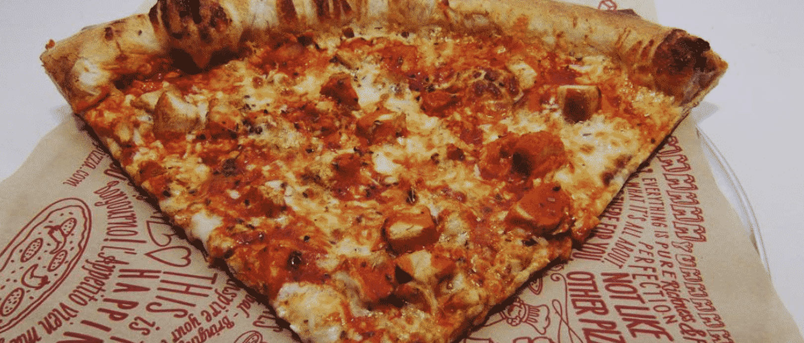 The 25 Best Pizzas In Massachusetts 