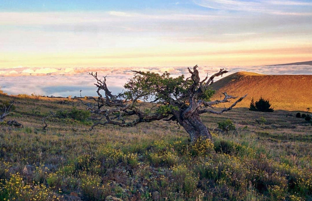 Mauna Kea Access Road