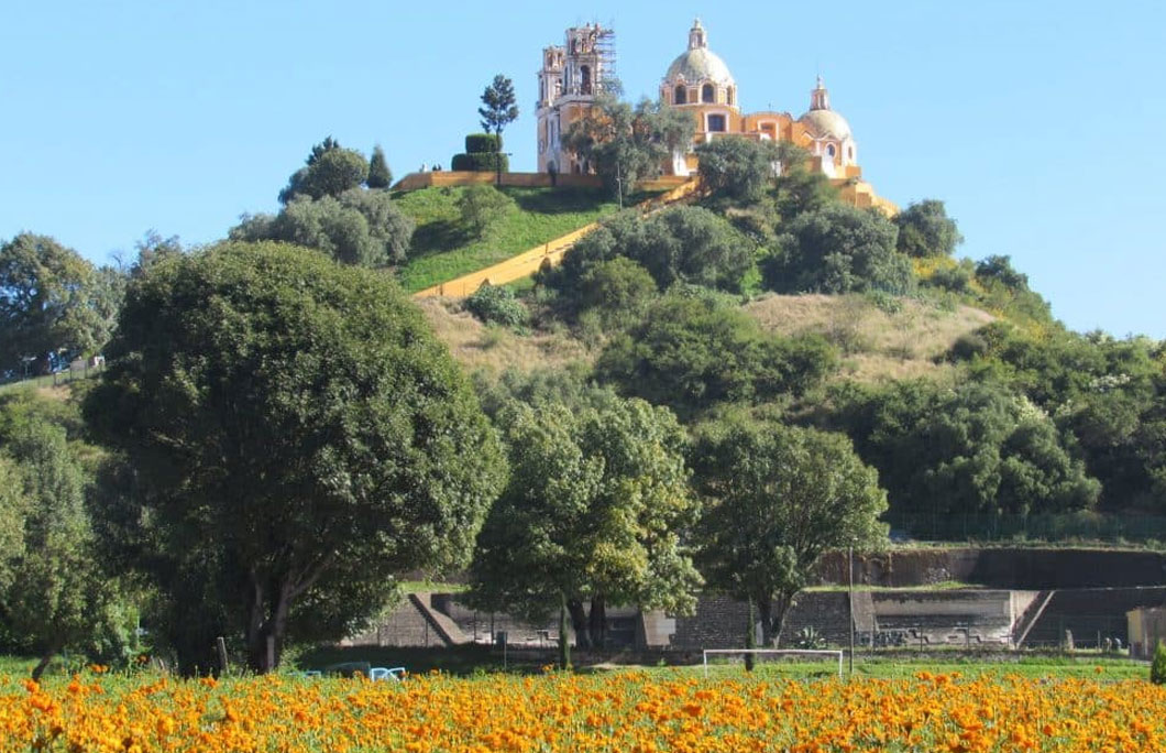 Mexico is Home to the World’s Largest Pyramid