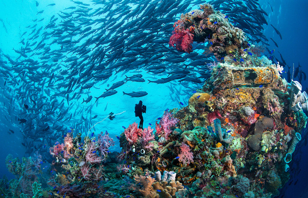 Micronesia offers some of the best wreck diving in the world