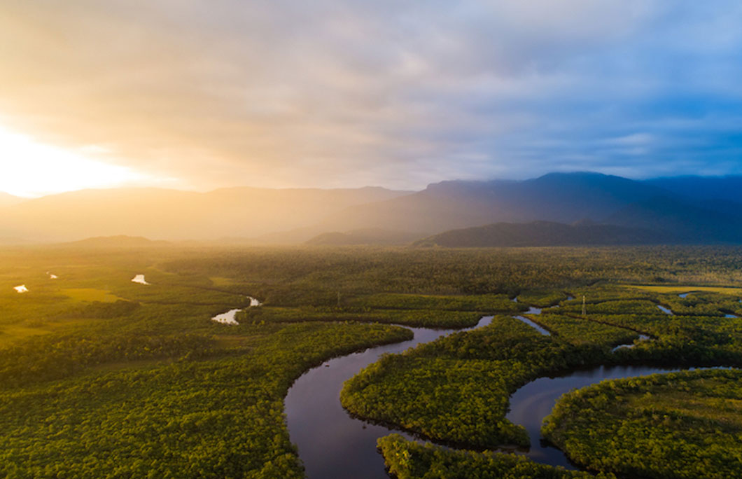 More than 88% of Gabon is rainforest