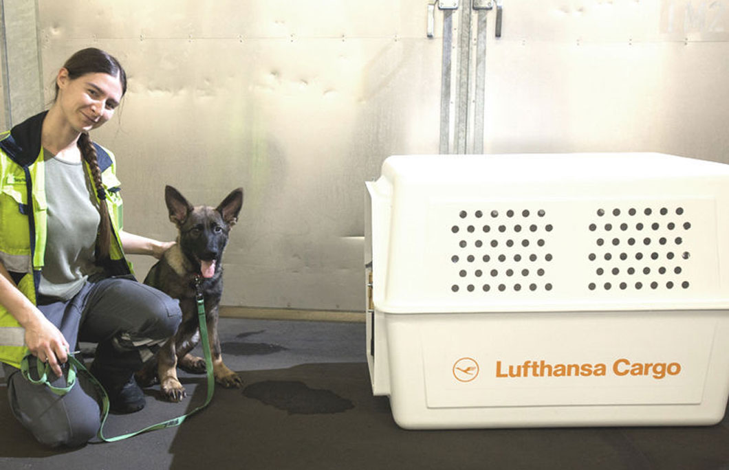 Lufthansa approved on sale pet carrier