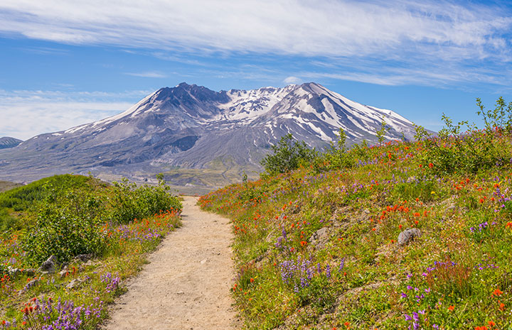 Mount St. Helens National Park