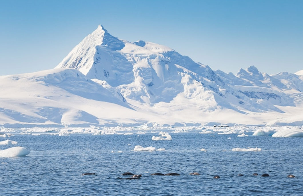 Mount Vinson is the highest mountain in Antarctica