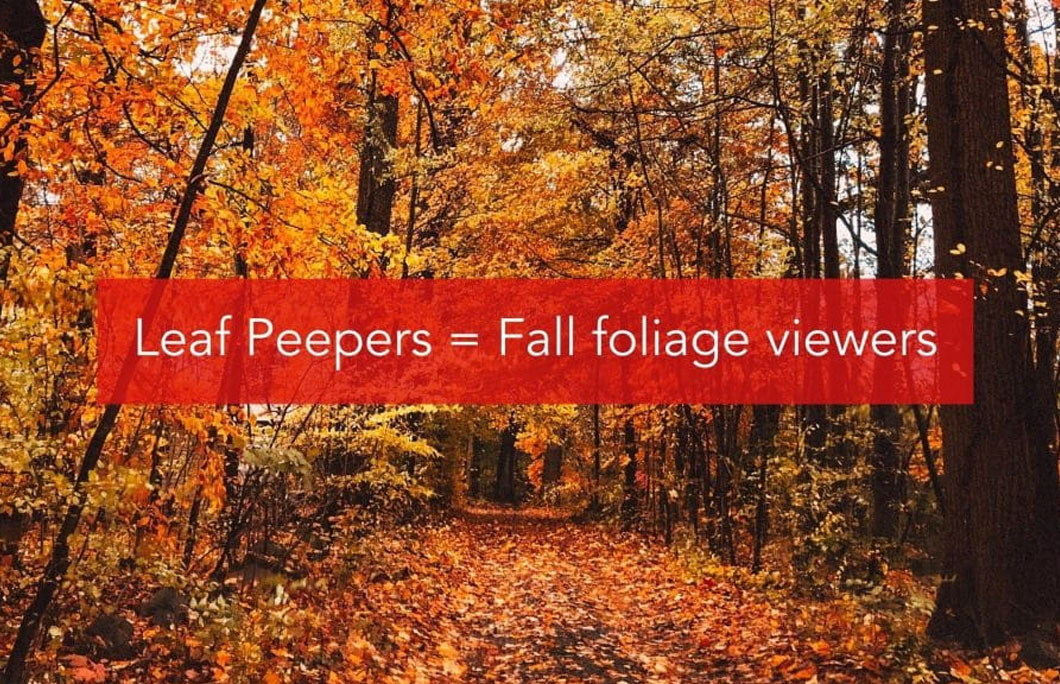 Leaf Peepers = Fall foliage viewers