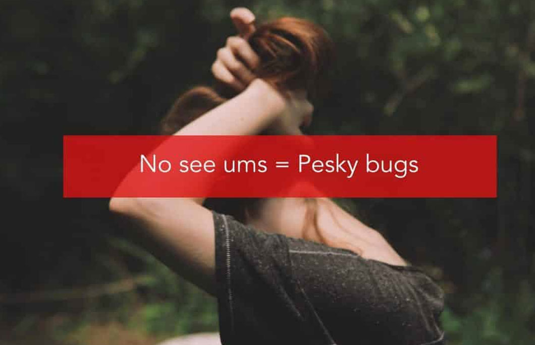 No see ums = Those annoying bugs that people have a hard time seeing!